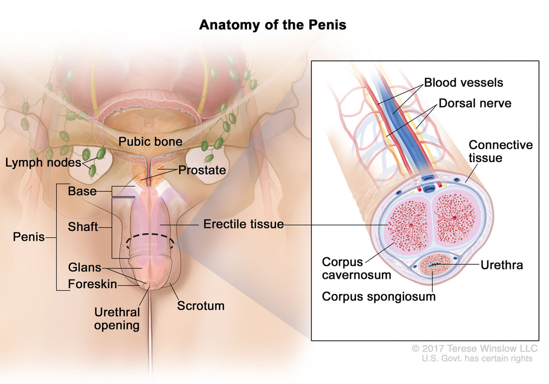 Addressing a Hot or Burning Sensation Under a Chastity Ring