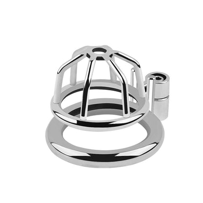 Front view of stainless steel chastity cage