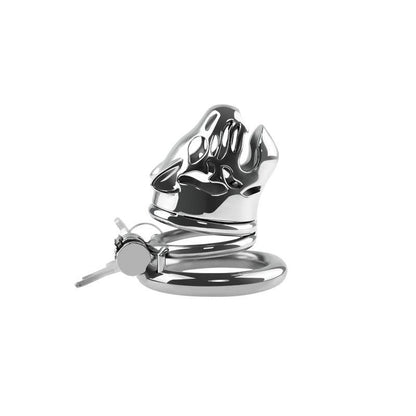 Small stainless steel chastity cage with lion design