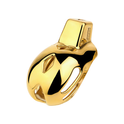 "Gold chastity cage – ideal for private BDSM training."