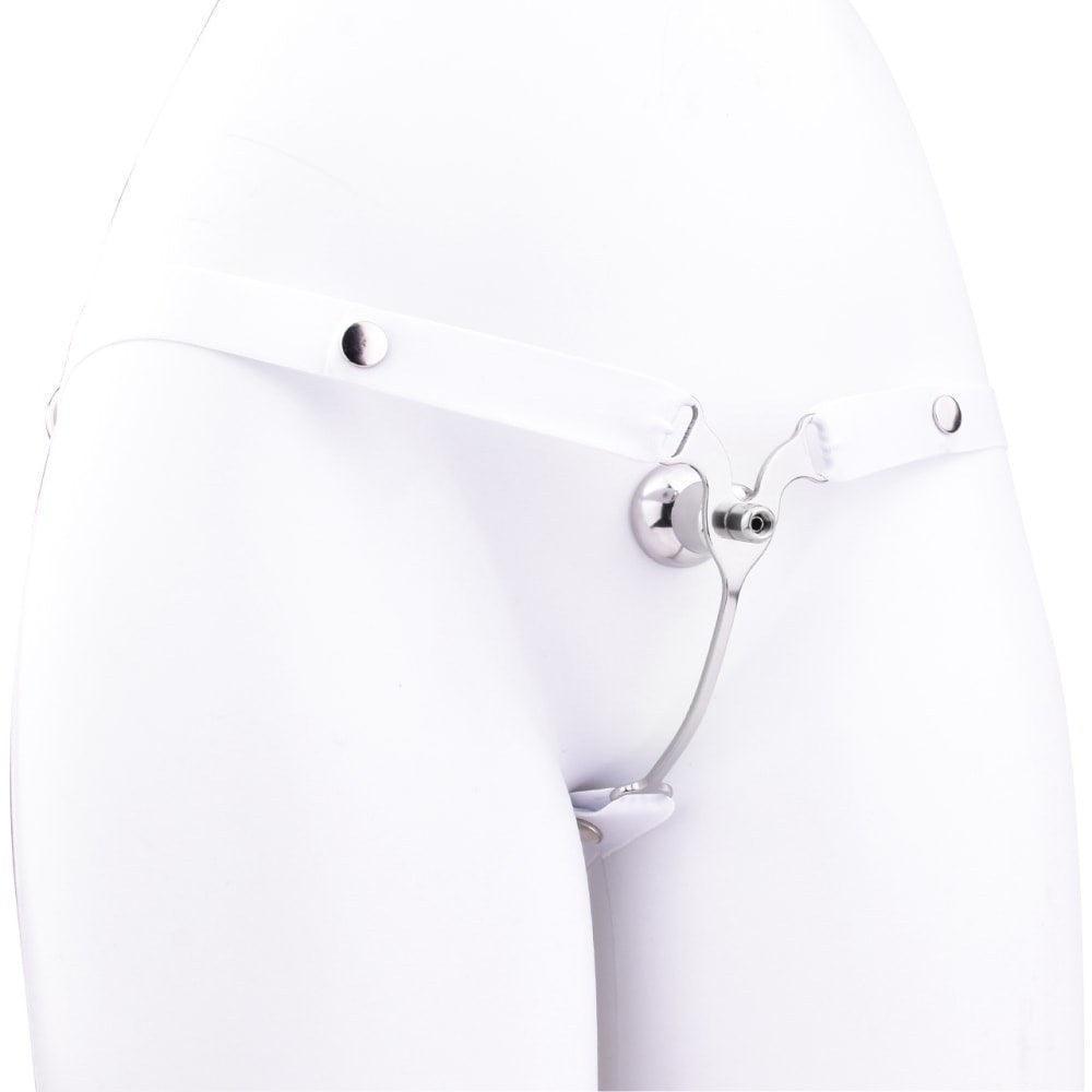 Chastity belt, sissy chastity, male chastity for sissies, trans BDSM, metal chastity belt, BDSM gear for trans, sissy play, chastity training, submissive sissy, lockable chastity, gay BDSM, sissy humiliation, gender play, transgender BDSM, chastity for cr