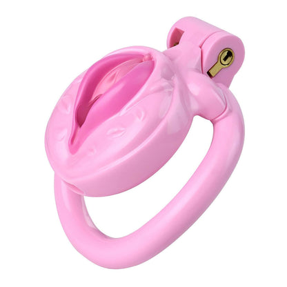 A pink chastity cage, flat chastity cage, and femboy chastity device for ultimate comfort and control."  "Ein rosa Chastity Cage, flaches Chastity Cage und femboy Chastity Gerät für ultimativen Komfort und Kontrolle.