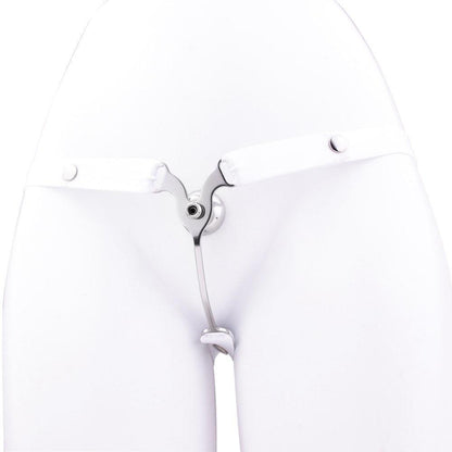 Chastity belt, sissy chastity, male chastity for sissies, trans BDSM, metal chastity belt, BDSM gear for trans, sissy play, chastity training, submissive sissy, lockable chastity, gay BDSM, sissy humiliation, gender play, transgender BDSM, chastity for cr