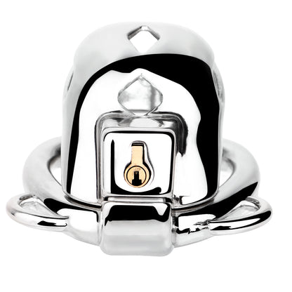 "Sophisticated silver chastity cage for gay chastity play."