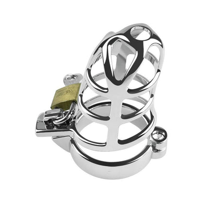 Metal chastity cage with padlock, front view