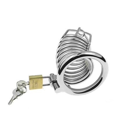 Top view of metal chastity cage with padlock and keys