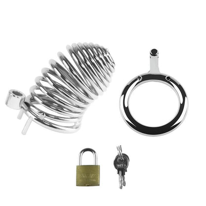 Metal chastity cage set with padlock and keys